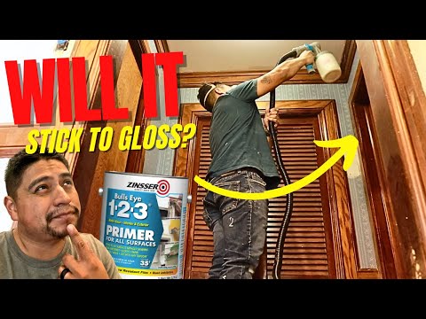 Zinsser Primer: The Ultimate Test On Glossy Trim #paint