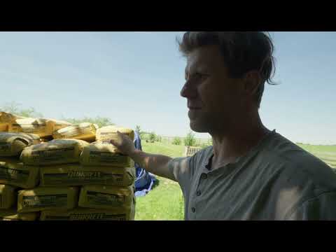 Foundation Work, Concrete Plans & Family Swim Fun! My Version of Life: Day 774