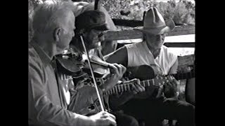 Willie Nelson - Down Home 1997 - San Antonio Rose