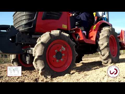 VIDEO DATINI ITALIANO