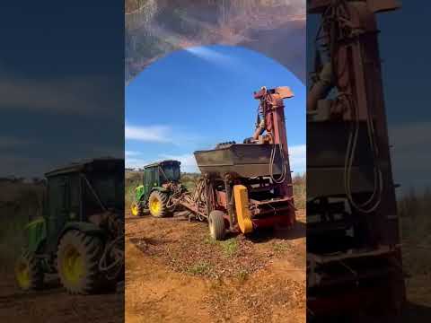 SITIO EM LAGAMAR/MG: 15 HECTARES COM 30 MIL PÉS DE CAFÉ E MUITA ÁGUA! ☕💦