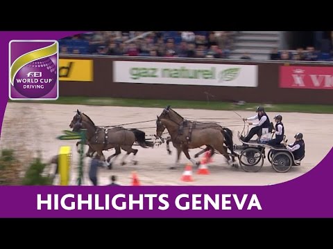 Highlights - Geneva - FEI World Cup™ Driving 2015/16
