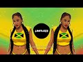 SHAKE IT TO THE MAX Limitlezz Remix