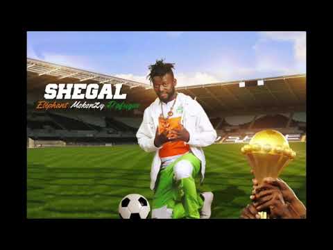 Shegal Mokonzi - atalakou Dedans