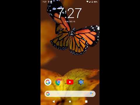 Bugs Life 3D - 3D Live Wallpap Video