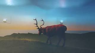The Ceide Fields Visitor Centre, Mayo, Ireland