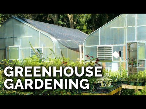 YouTube video about Simple Options for Those Starting a Greenhouse Garden