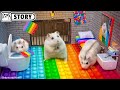 🐹 Hamster Escapes the Pop It Maze Part 2 🐹 Homura Ham