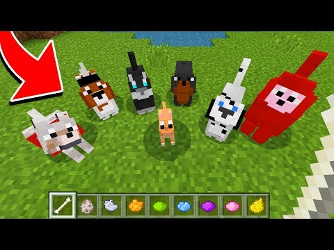 EYstreem - How to Spawn NEW WOLVES in Minecraft TUTORIAL! (Pocket Edition, Xbox, PC)