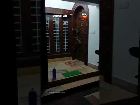 E essa visitinha inesperada? Cobra gigante domina porta de entrada de residência na Índia