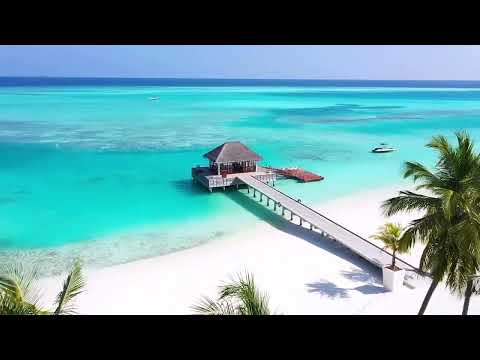 Chill. Play. Come Alive at Niyama Private Islands Maldives