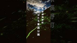 ホタルが凄すぎた!泣。辰野ほたる童謡公園　長野県辰野町