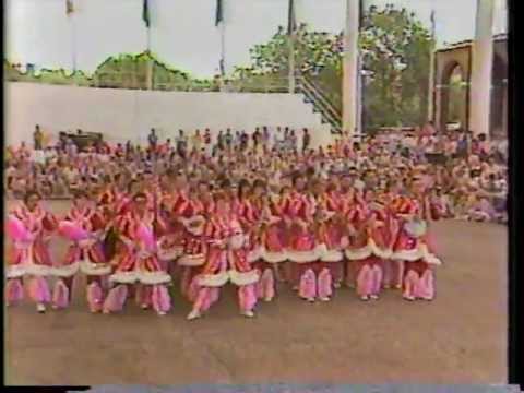 1987 Summer Mummers Parade and Concert
