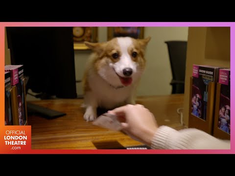 Play video