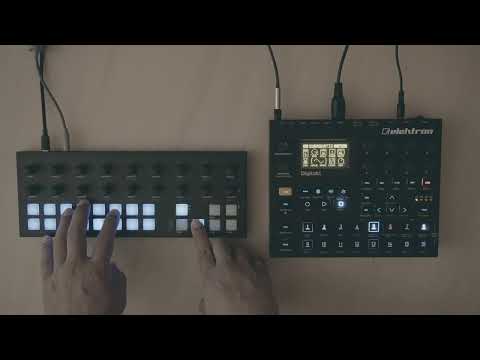 Torso Electronics T-1 Euclidian Algorithmic Sequencer image 5