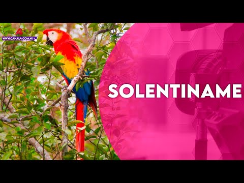 Solentiname, un destino para el descanso, el avistamiento de aves exóticas y la pesca