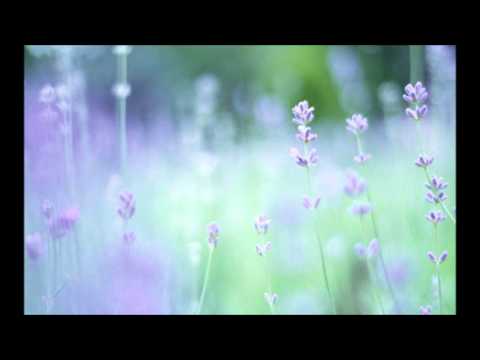 Marc-Andre Hamelin plays Ravel - Gaspard de la nuit - Ondine