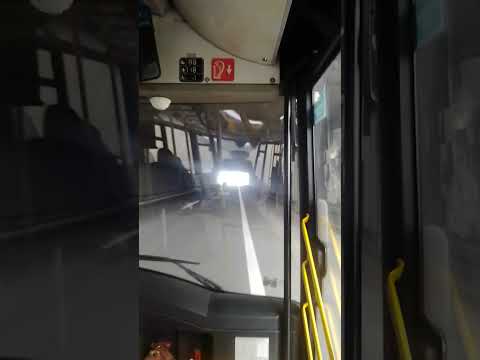 cela trasa 611 dobanovci zemun