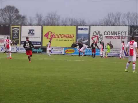 Stedoco   Ijsselmeervogels 2 0