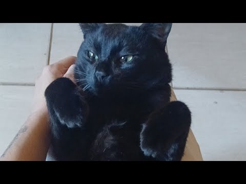 Valsa - Yung Lixo