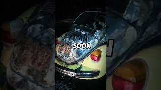 Download lagu Do not overtake this yellow Volkswagen 😱 #ghoststory #americanhorrorstory #horrorcollection #horror mp3