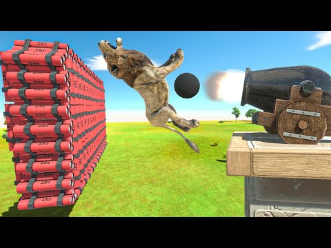 CANNON + TNT vs ALL UNITS - Animal Revolt Battle Simulator (HEROVER)