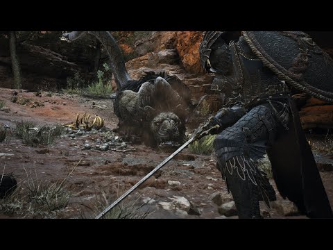 Dragon's Dogma 2 - Fighter, The Parry God