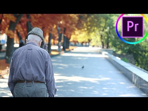 How to make Leaves Change COLOR from Summer to Fall Autumn in Adobe Premiere Pro (CC Tutorial)