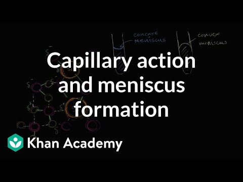 Capillary action and why we see a meniscus | Chemistry | Khan Academy