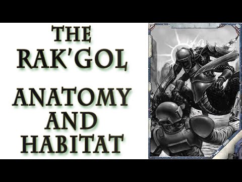 Warhammer 40k Lore - The Rak'Gol, Anatomy and Habitation