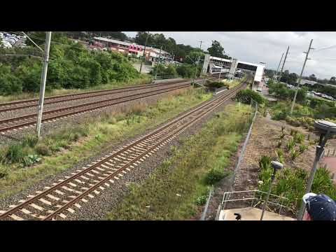 Black caviar CF4412/CF4411 leads 2194