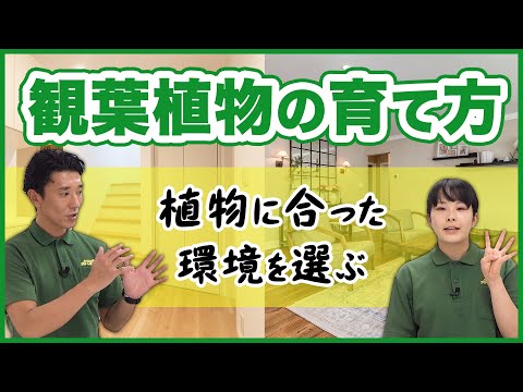 経済学科 大切なのは置き場所！環境に適した植物の育て方