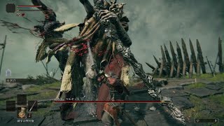 ELDEN RING_ マルギット 刀両手持ち