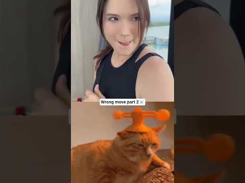 wrong move part 2 #cat #trending #tiktok #dance