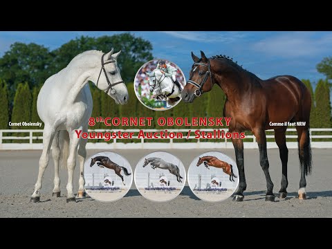 Trailer Cornet Obolensky Youngster Auction / Stallions September 11 - 15, 2025