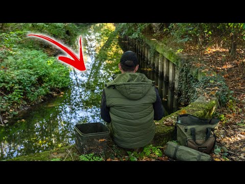 Small Streams & Rivers - FUN FISHING!