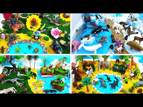 Grand Huge Animal Dioramas collection- Learn Insects Polar African Exotic Animals for preschool kids
