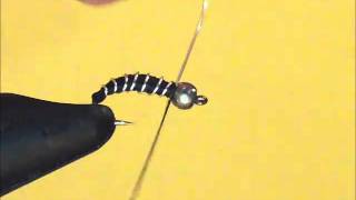 preview picture of video 'How to Tie and Fish the Zebra Midge Fly Pattern'