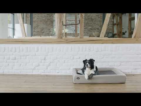 SABRO: Viele bunte Kudde Hundebetten mit Martin Rütters Emma