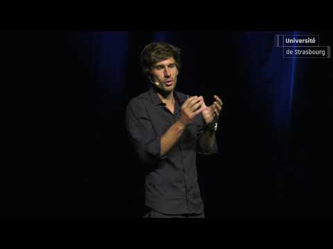 GUILLAUME NÉRY, VOYAGE EN APNÉE