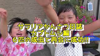 【サラリアかんさつ日誌】「カブトムシ！らいねんもあおう！」～⑤自然の力 また次の命へ～