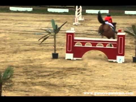 Holsteiner Sport horses "Kalinka MNM" CSI**-W