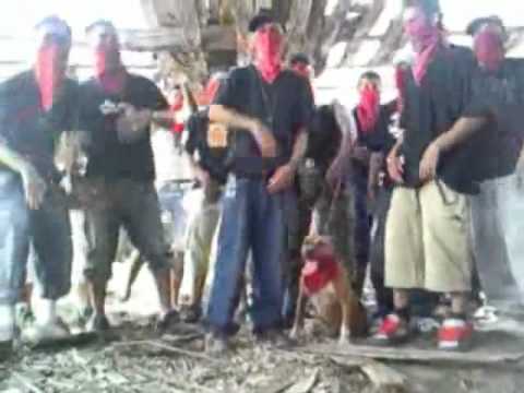 Gipsy Mafia    Ciganska Mafia