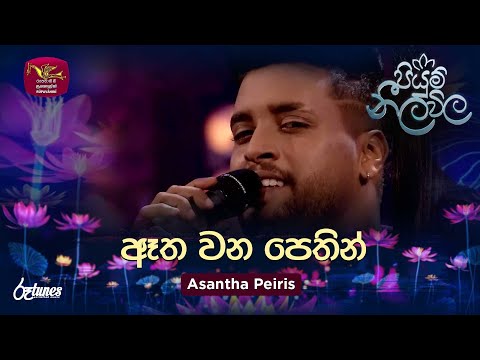 Atha Wana Pethin | ඈත වන පෙතින් | Asantha Peiris | Piyum Neela Vila | Roo Tunes