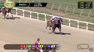 Emerging Market and Power Shift Battle to the Wire at Tampa Bay Downs - 02/07/2026