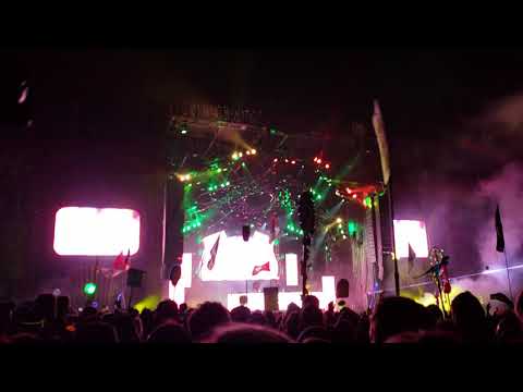 Bassnectar - Electric Forest 2018 - Mmh Ha Ha Ha (Young Signorino)