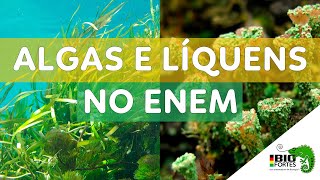 Algas e Líquens