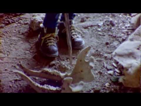 Balmorhea  'Jubi'  (Official Film)