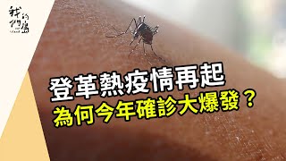 Re: [問卦] 一人一招救救台南登革熱！！！