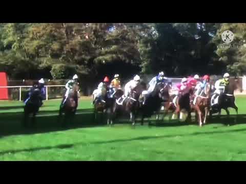 Lady Win …. 131. Velká pardubická